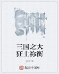 三国之狂战将军5200